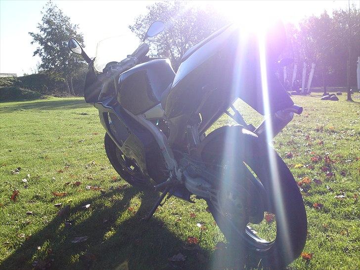 Aprilia RS 50 LC DD 80cc TS billede 6