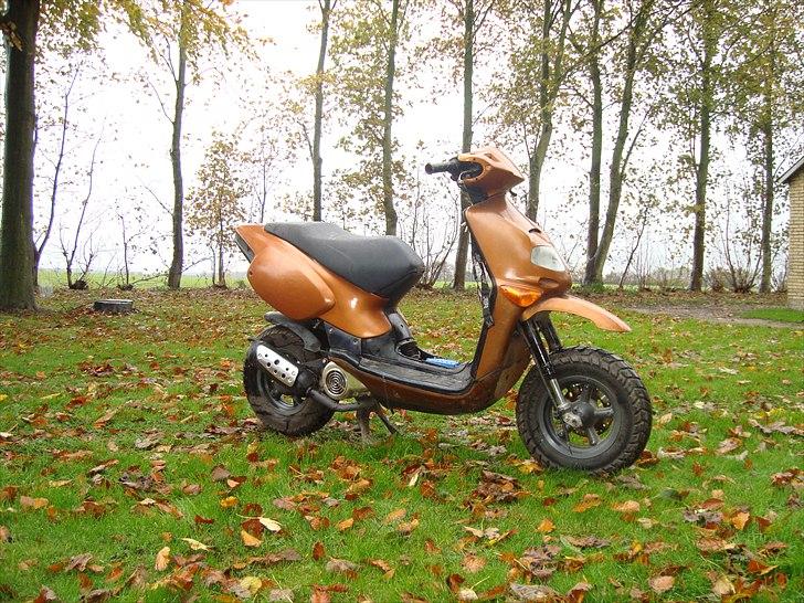 Aprilia Rally AC billede 2