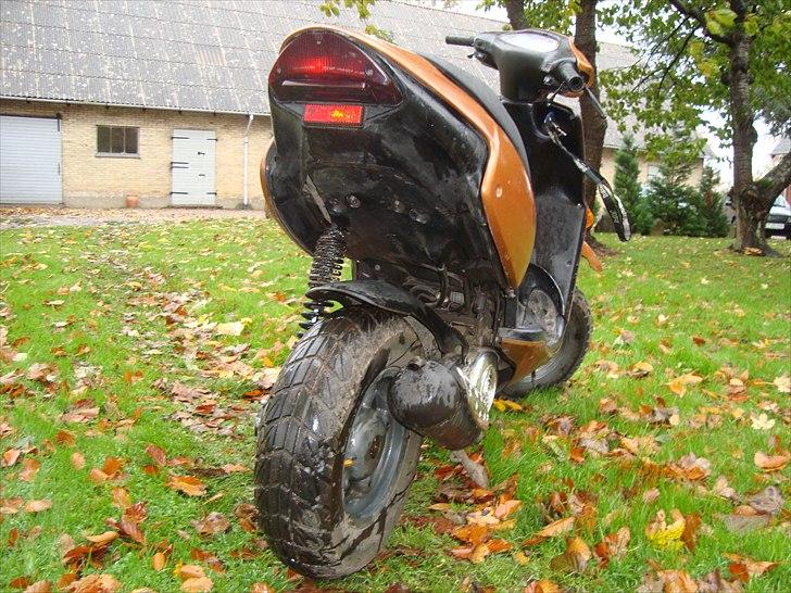 Aprilia Rally AC billede 7