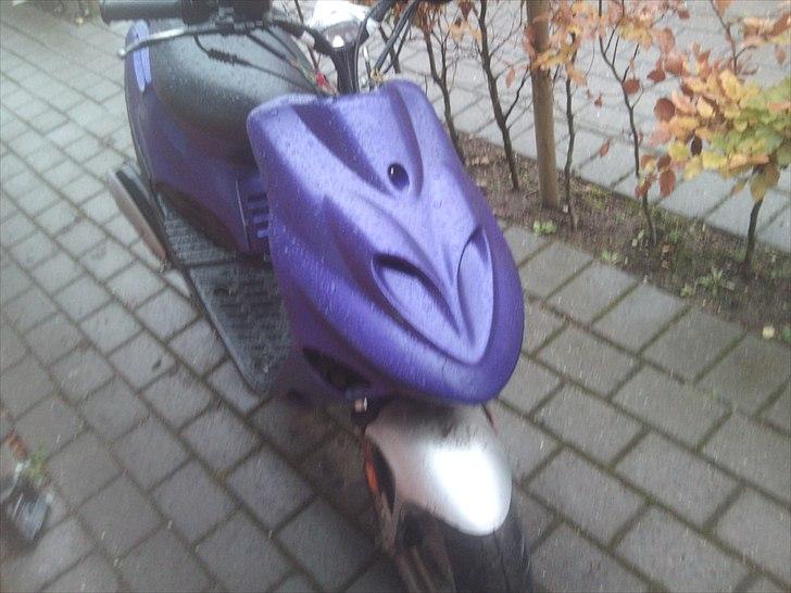 Adly sliverfox solgt billede 1