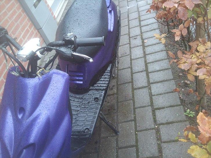 Adly sliverfox solgt billede 3