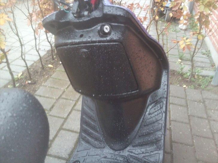 Adly sliverfox solgt billede 6