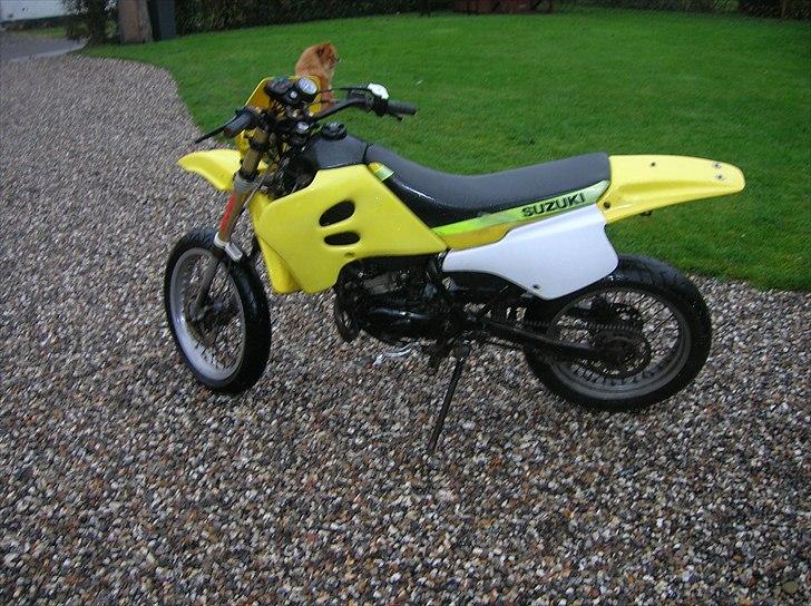 Suzuki Smx > Byttet < billede 6