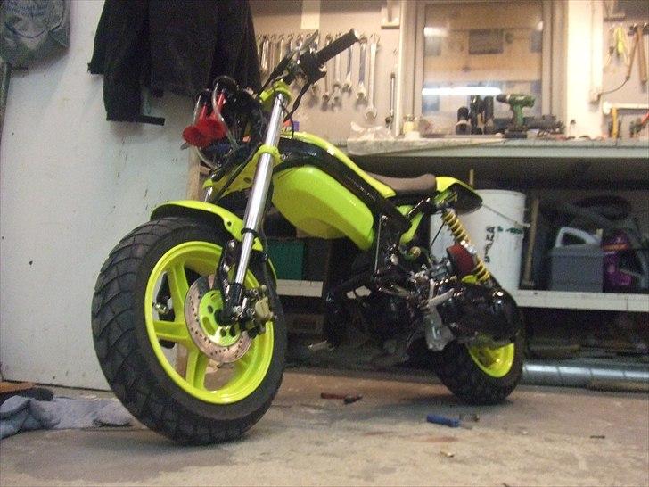 Suzuki Tvilingerne 2010 billede 10