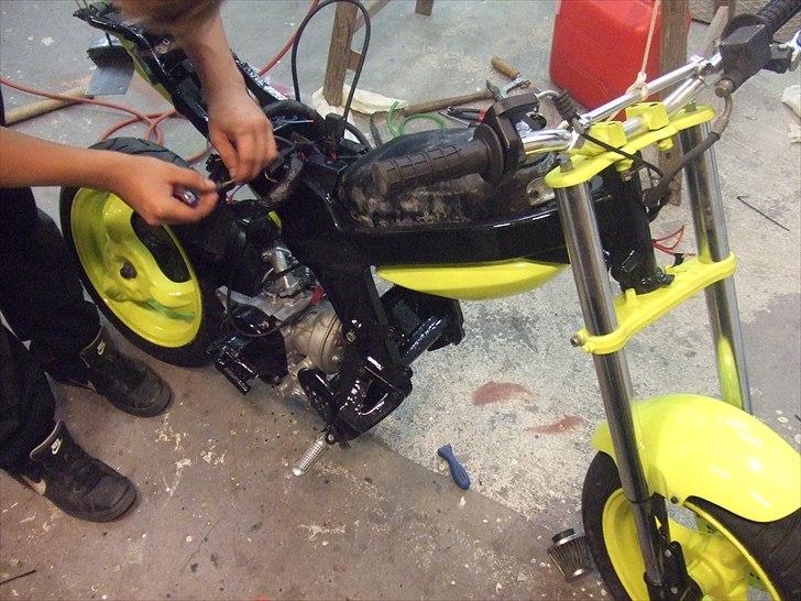Suzuki Tvilingerne 2010 billede 11