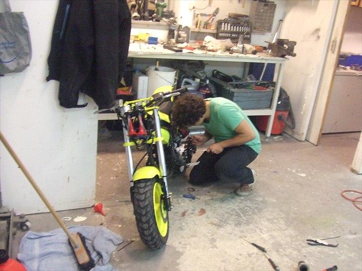 Suzuki Tvilingerne 2010 billede 13