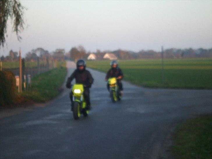 Suzuki Tvilingerne 2010 billede 15