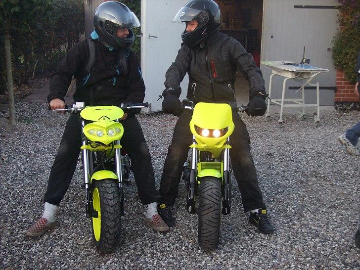 Suzuki Tvilingerne 2010 billede 16