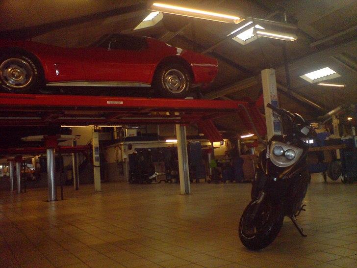 PGO Hot 50 (SMIDT UD) billede 14