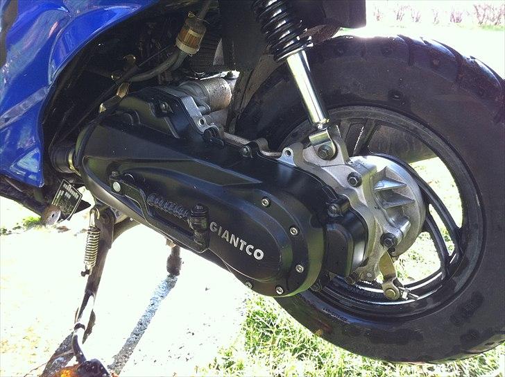 Giantco G-buddy billede 7