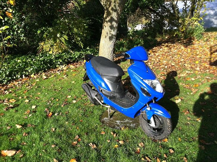 Giantco G-buddy billede 8