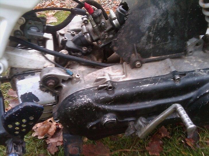 Suzuki street magic (byttet til  billede 7