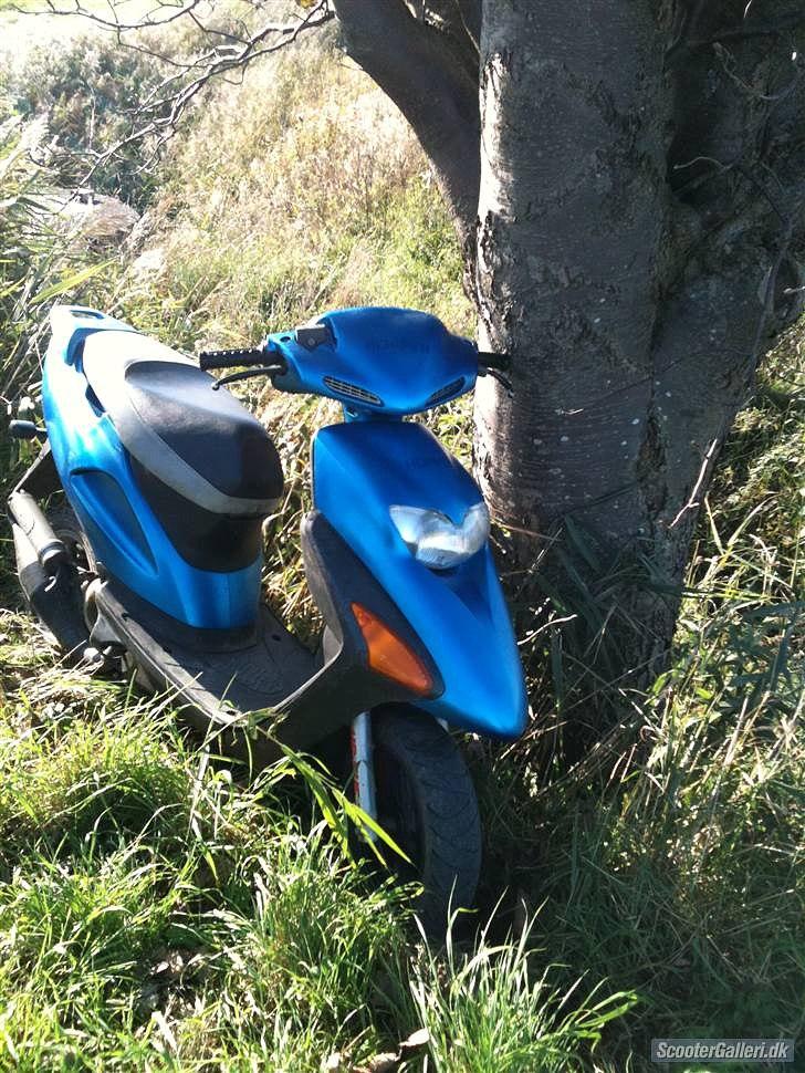 Honda sfx {SOLGT} billede 1