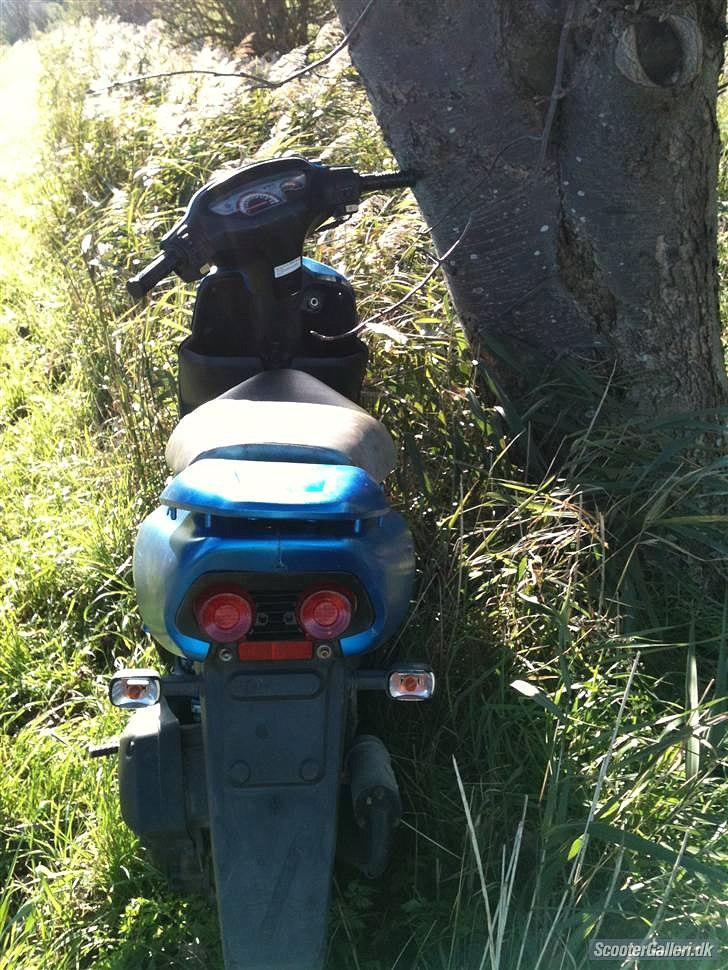 Honda sfx {SOLGT} billede 2