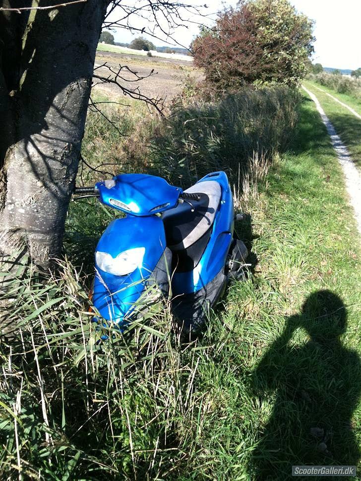 Honda sfx {SOLGT} billede 3