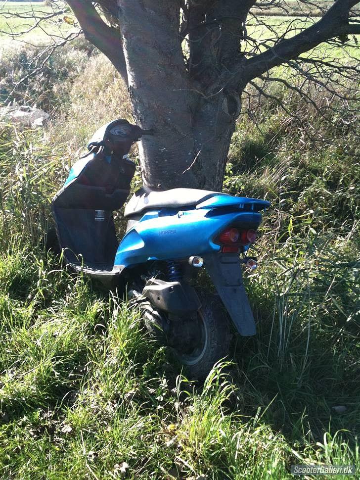 Honda sfx {SOLGT} billede 4