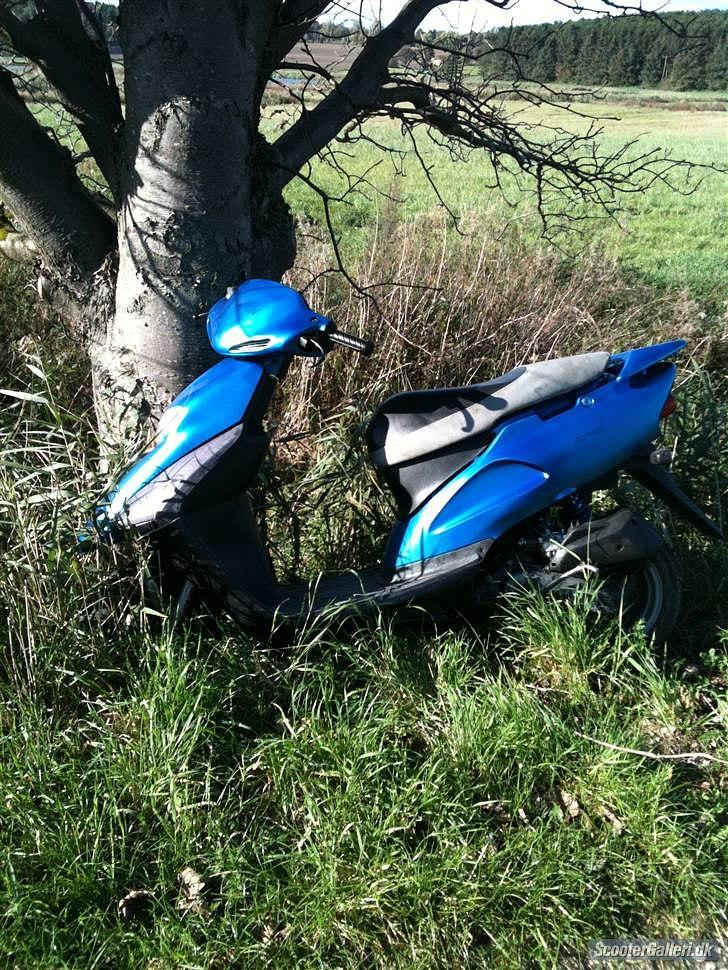 Honda sfx {SOLGT} billede 5