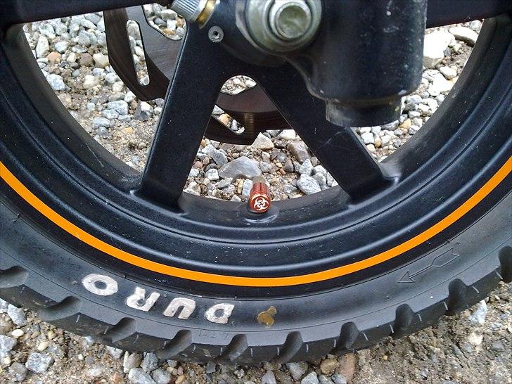 PGO hot 50 sp  billede 8