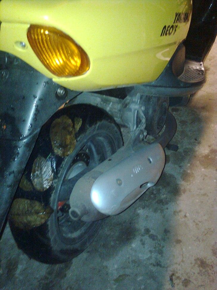 Yamaha Neos Malaguti DD billede 6