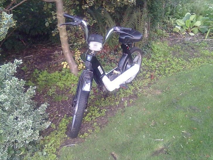 Piaggio ciao (byttet til hot 50) billede 10