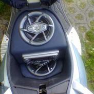 PGO Dr. Big TIL SALG