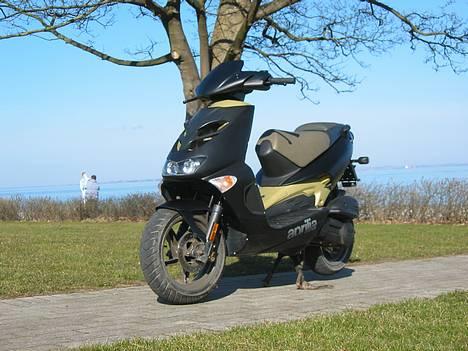 Aprilia Sr50 DiTech billede 1