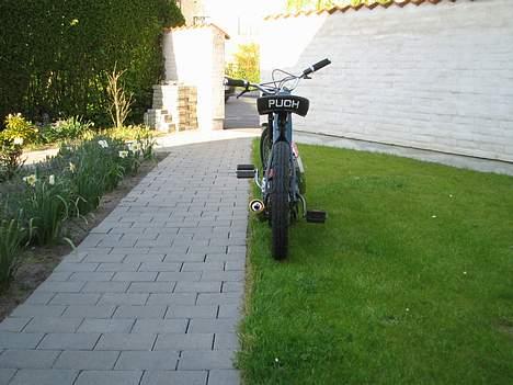 Puch Maxi  Solgt - ellers også er det der de ser mig;b billede 9