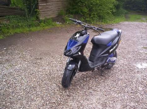 Piaggio NRG **Biker-Mikes** billede 8