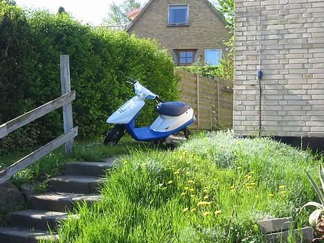 Yamaha jog byttet til hot 50 billede 4