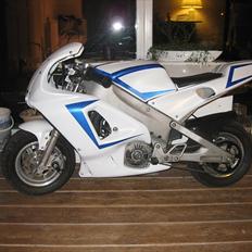 Polini 911 dreambike Solgt 