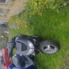 Peugeot speedfight 2