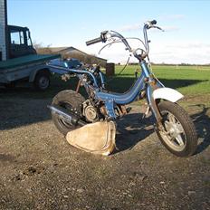 Suzuki Fz/Hot - SOLGT