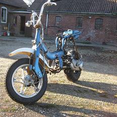 Suzuki Fz/Hot - SOLGT