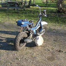 Suzuki Fz/Hot - SOLGT