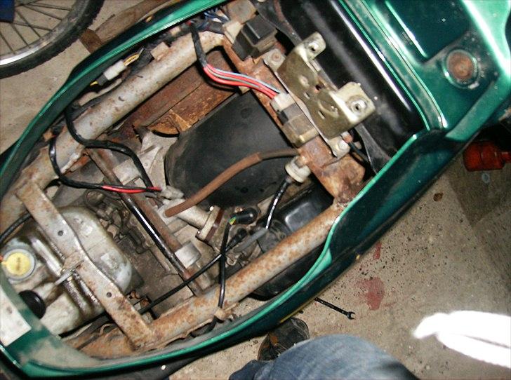 PGO big max billede 11