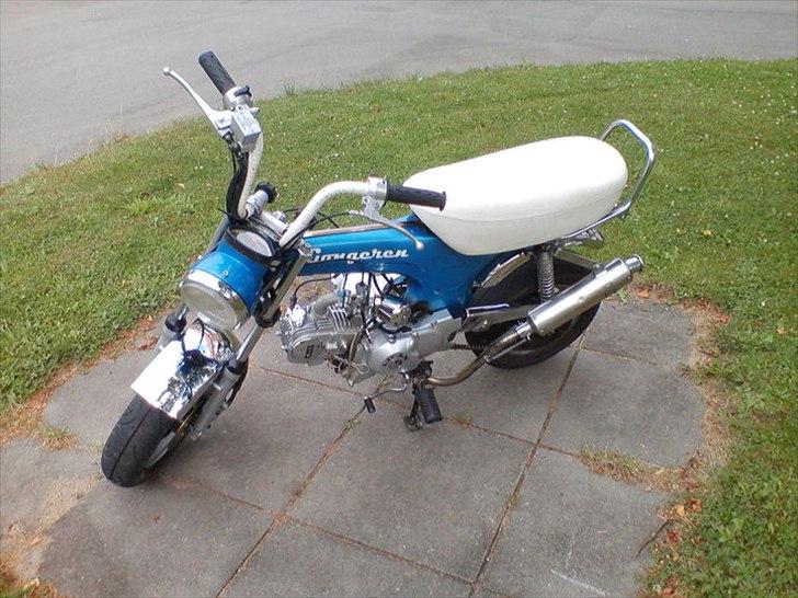 Jincheng Dax (før) - Som hun så ud da jeg købte hende for 4måneder siden  billede 1