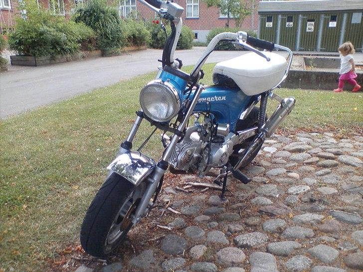 Jincheng Dax (før) billede 5