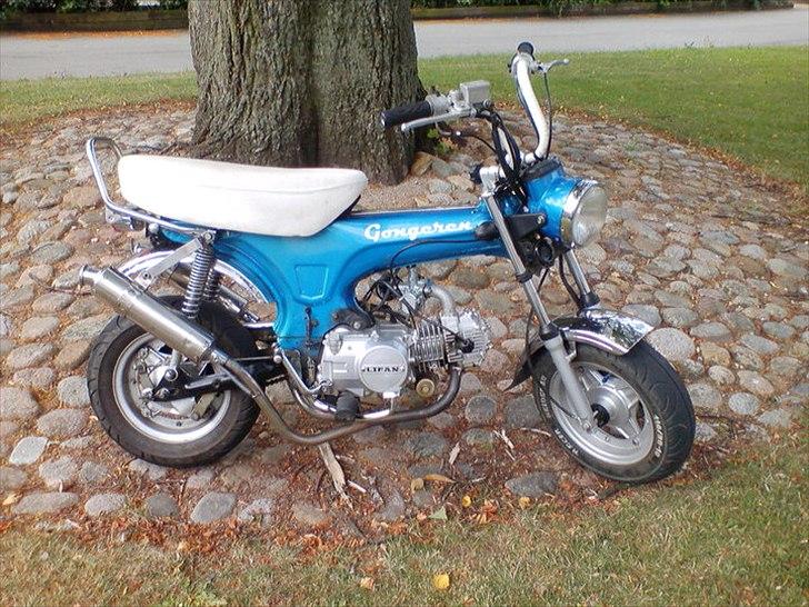 Jincheng Dax (før) billede 11