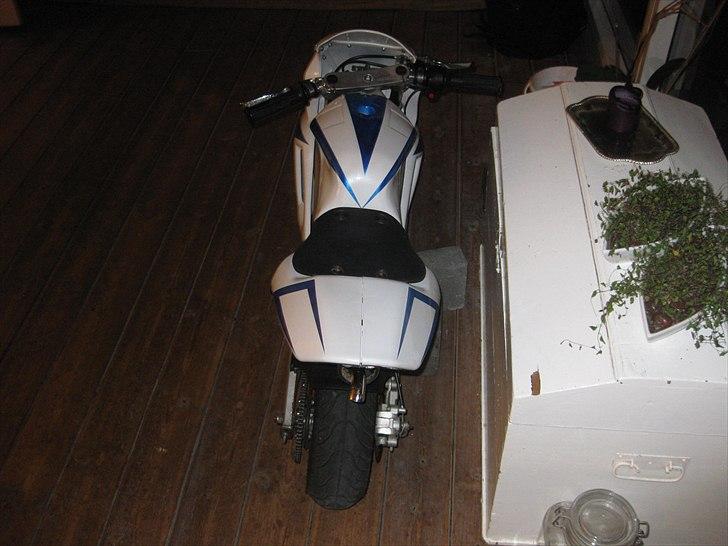 Polini 911 dreambike Solgt  - her kan man se den hvide perlemor på tanken og det blå perlemor billede 5