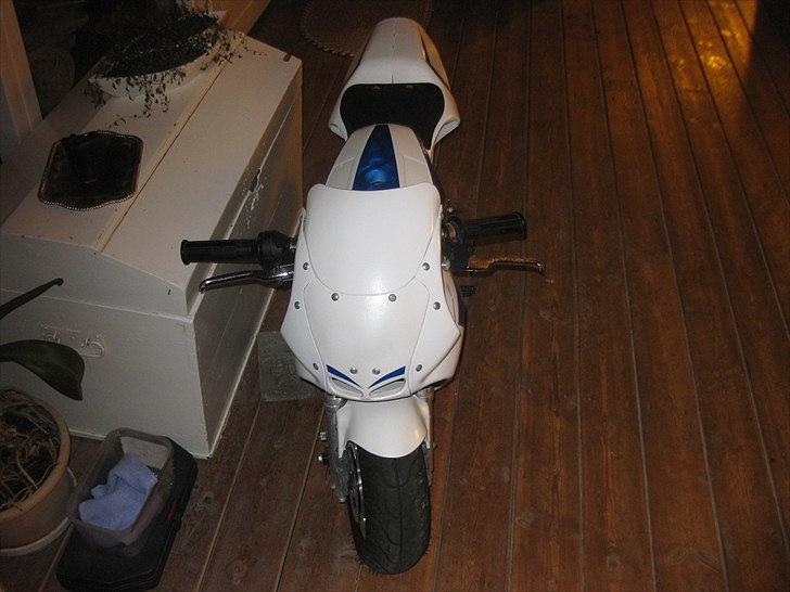 Polini 911 dreambike Solgt  billede 6