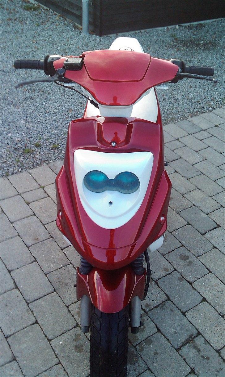 PGO hot bytte  - er hun ikke bare fin :)  billede 3