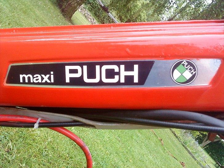Puch Maxi P *Solgt* billede 8