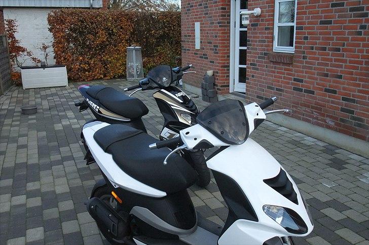 Piaggio NRG Power DT billede 14