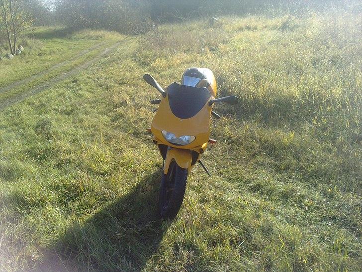 Aprilia Rs 50 (under ombygning) billede 5