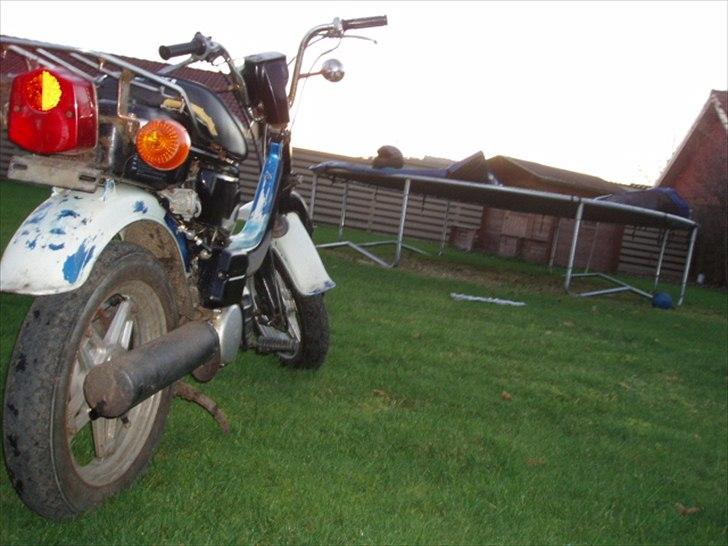 Suzuki FZ 50 billede 3