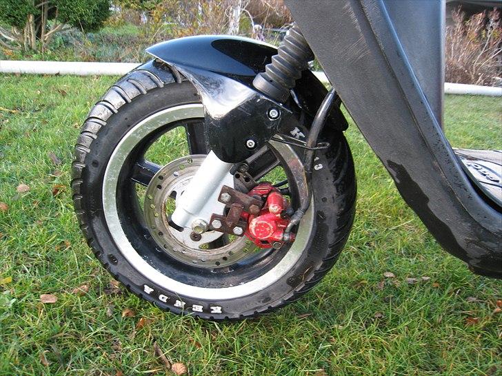 PGO Hot 50 ™ Vinter billede 8