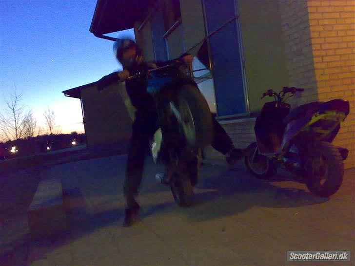 PGO hot50 byttet til dirtbike billede 6