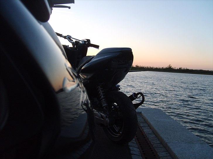 Honda Sfx Solgt  billede 13