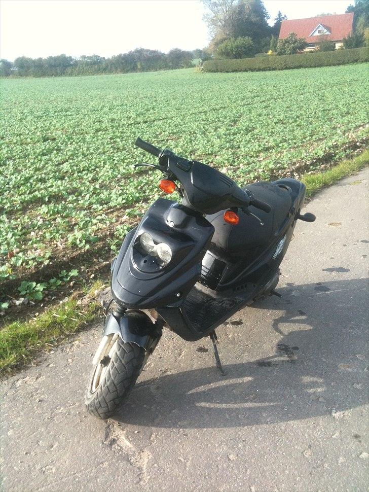 PGO Hot 50 billede 1