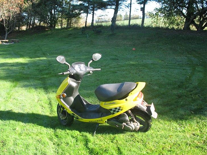 Peugeot speedake billede 1